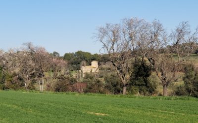 Bike Ride Views. Cruilles to Corca to San Sadurni